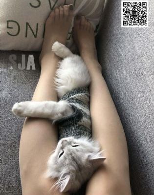 激情豪放女