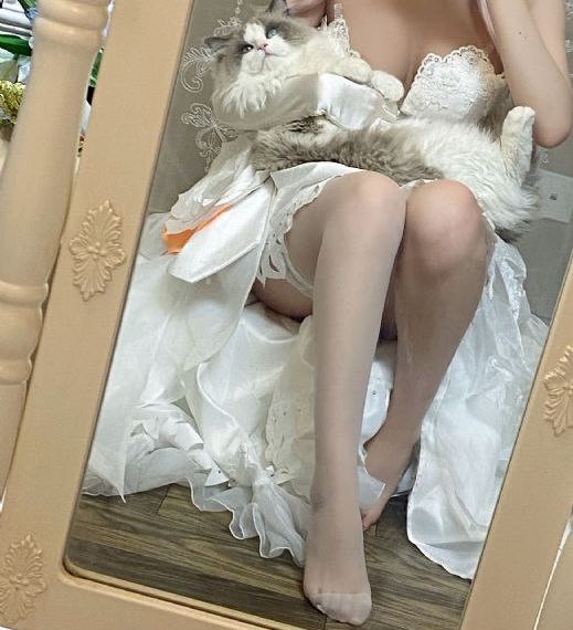 将夜第三季高清在线看