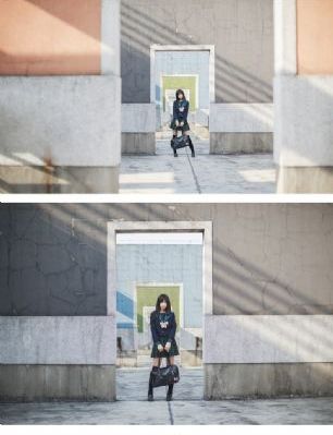 《玫瑰的故事》电视剧剧情