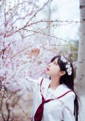 女人的颜色电视剧
